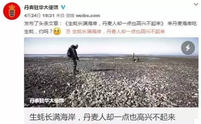 别急着去丹麦吃蚝救灾，先救救我们自己吧！
