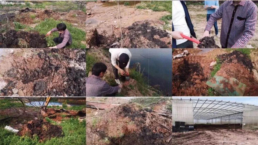 环保督查“黑名单”！被罚1000多万！“蚯蚓污泥案”为何屡禁不止？