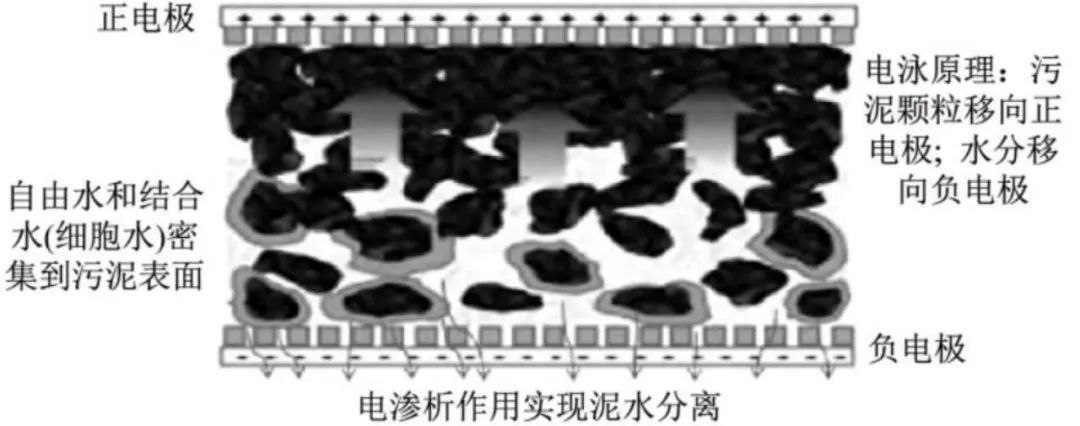 1675846792678639.jpg 微信图片_20230208163600.jpg
